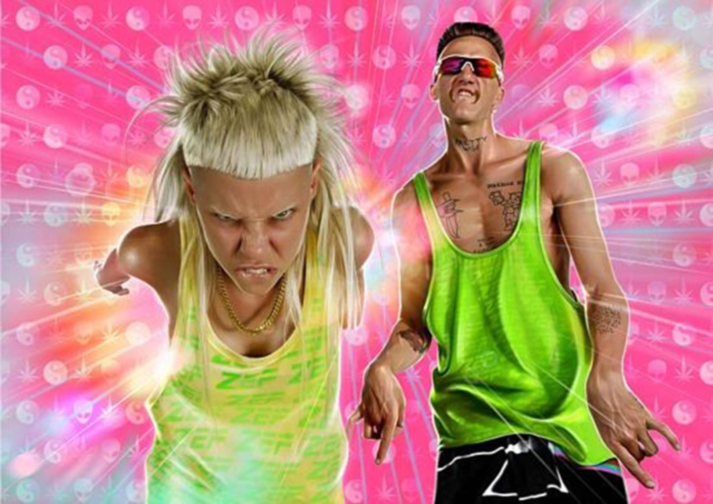 die antwoord